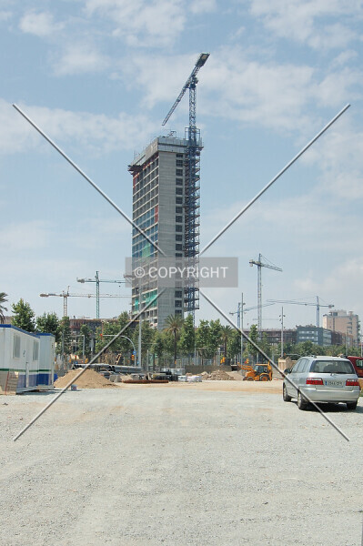 737-954-336