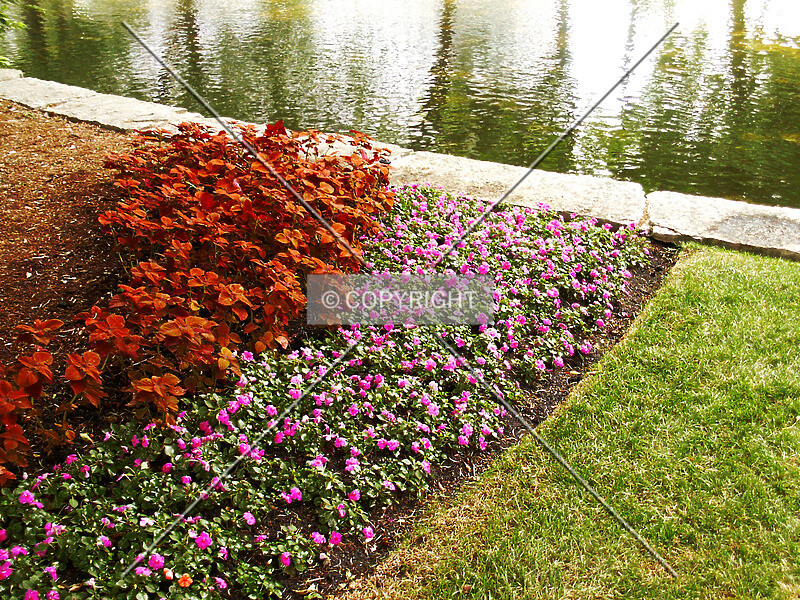 Photo 741-587-527