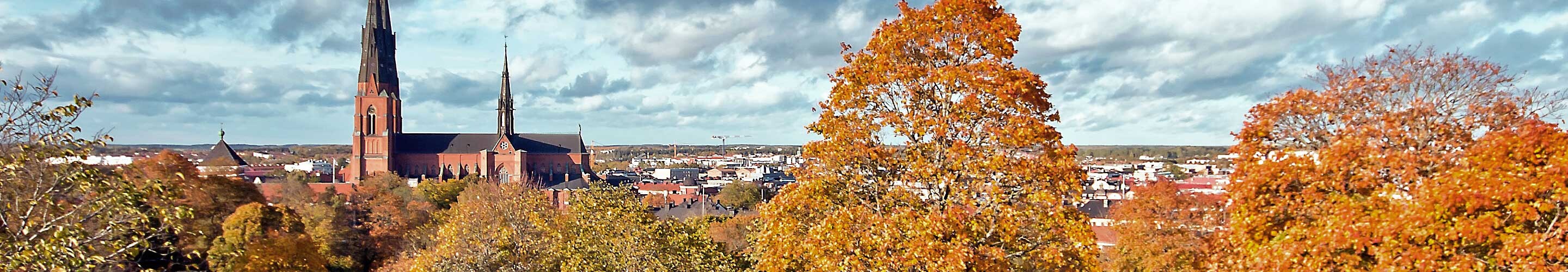 Panorama of Uppsala