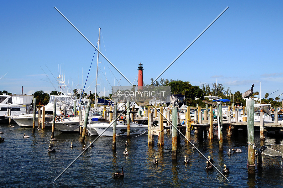 Photo 742-848-122