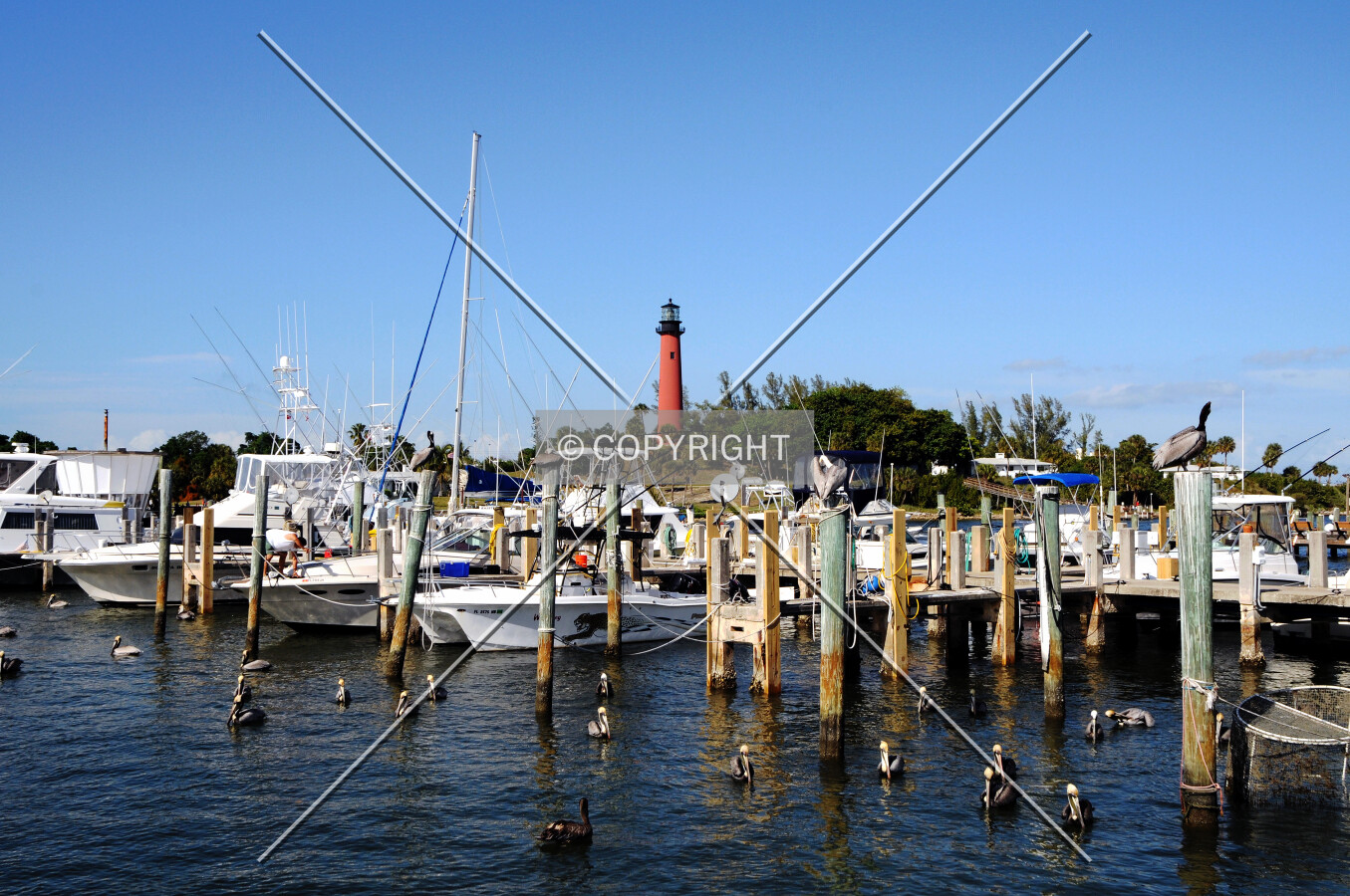 View from the southwest at the marina