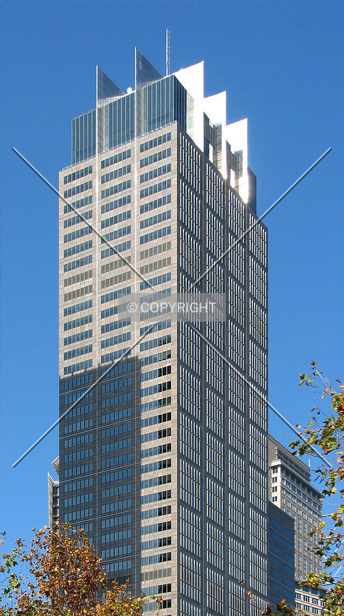 View from Alfred Street