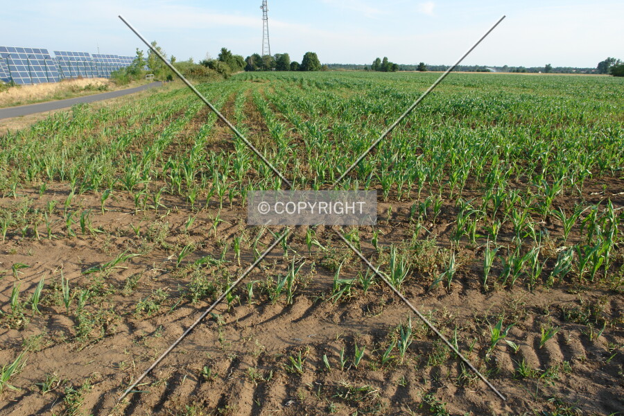 Photo 744-584-112