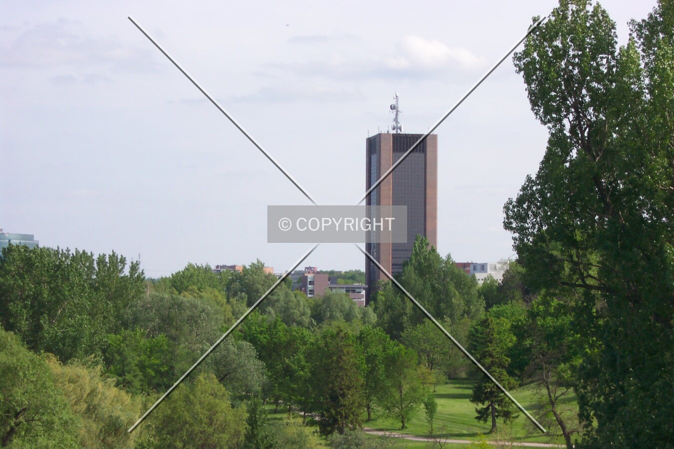 View from the Arboretum at the Central Experimental Farm