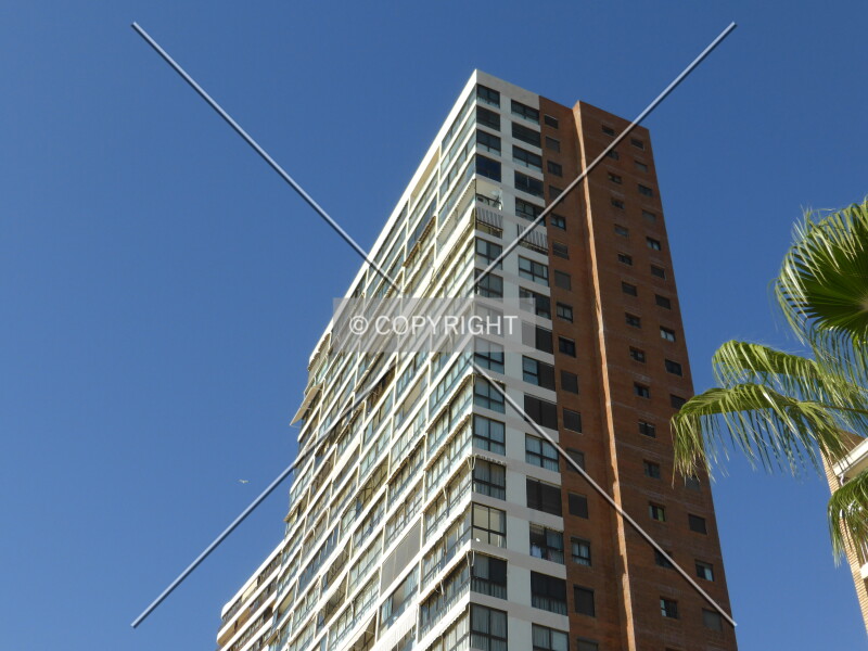 Photo 744-763-687