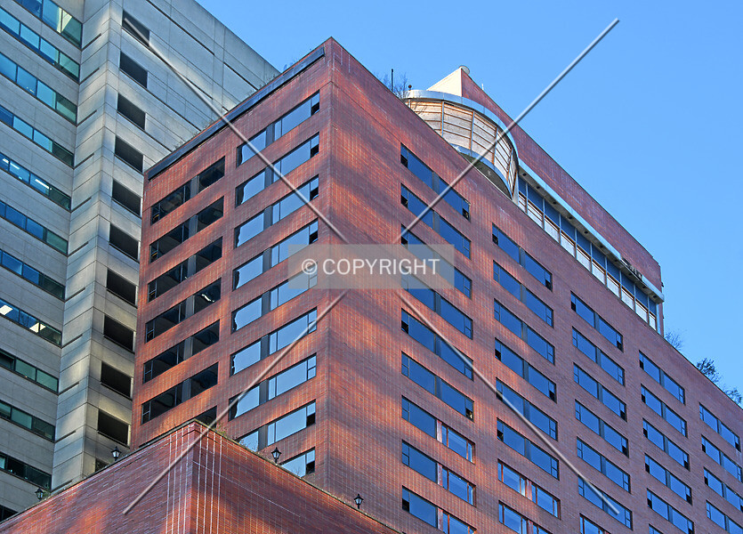 Photo 745-556-383