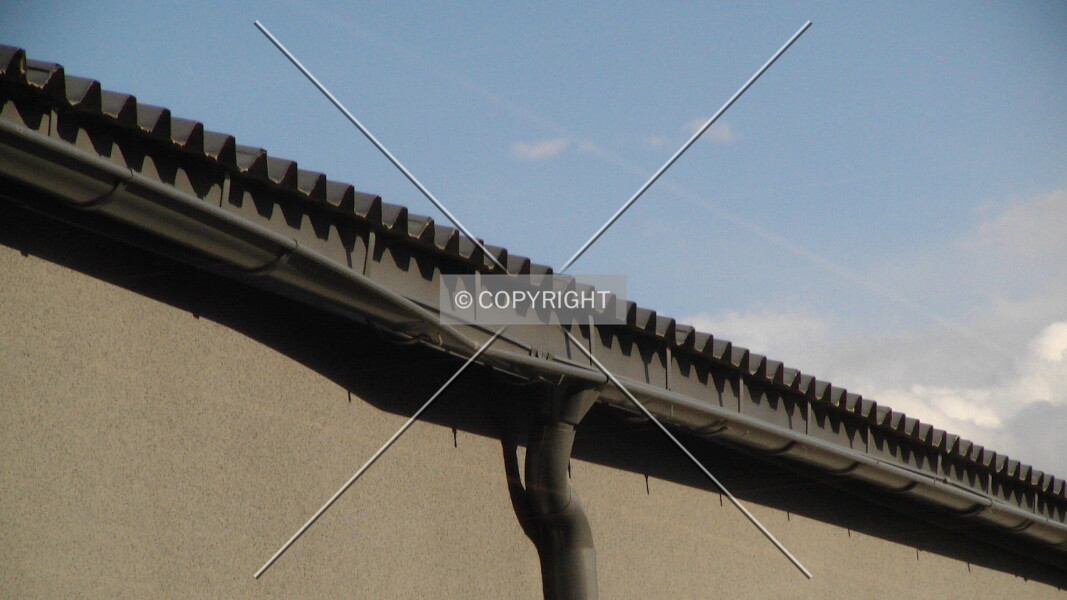 Photo 746-880-345