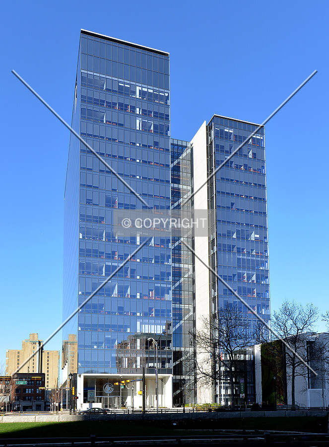 View from the southeast