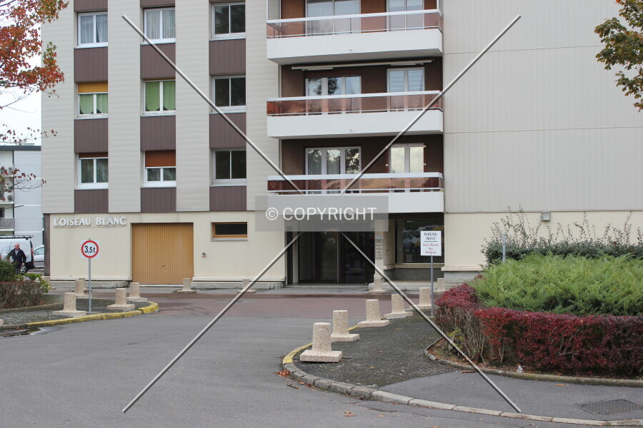 Photo 749-013-582