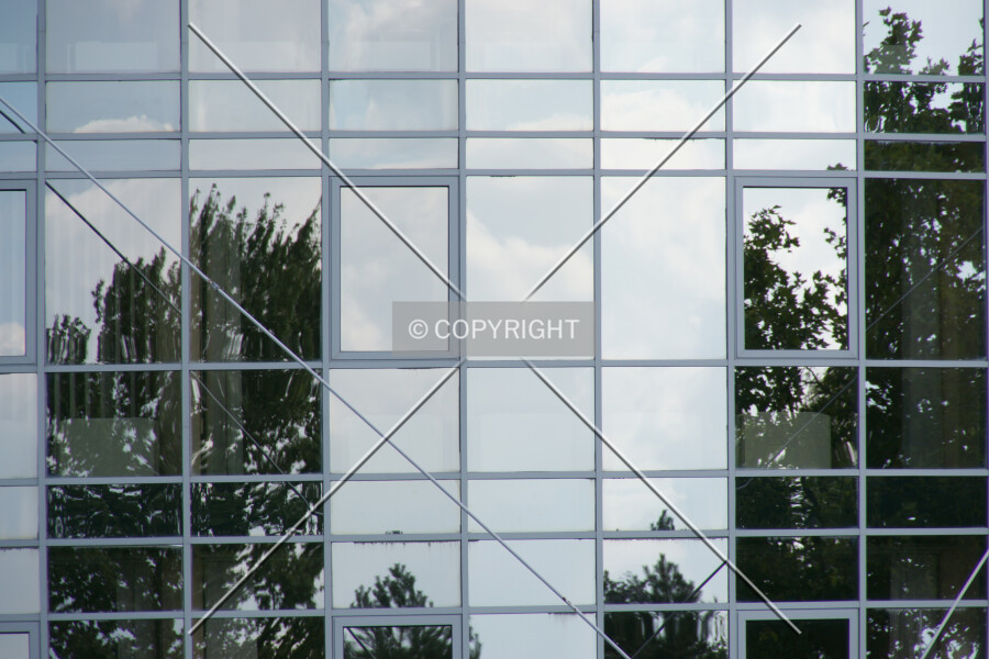 Photo 749-676-796