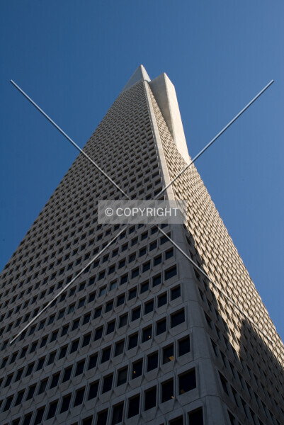 Photo 749-712-625