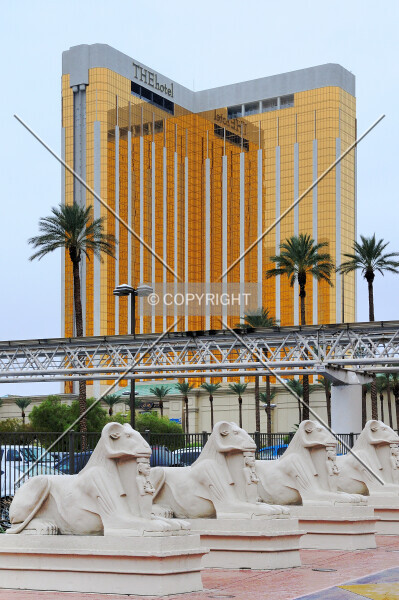 Photo 749-973-252