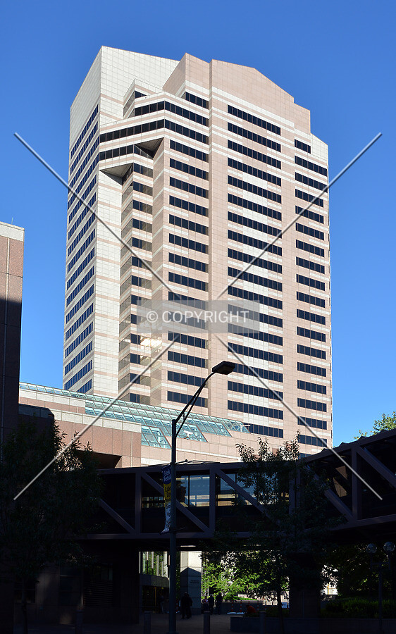 View from the southeast