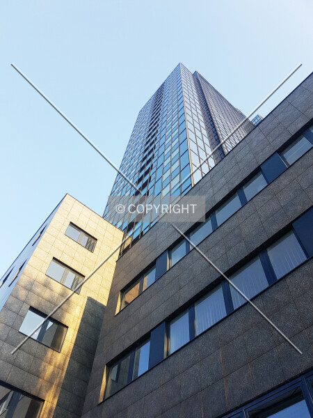 Photo 755-642-596