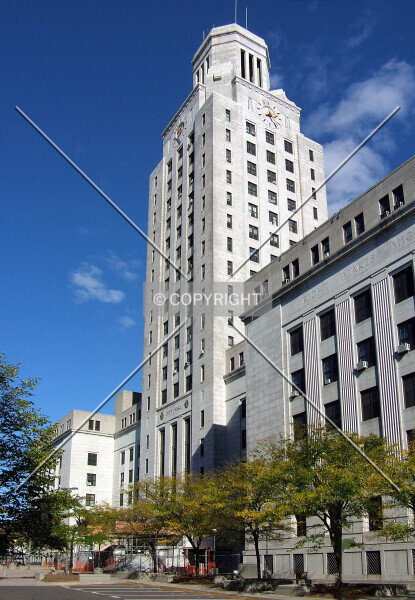 Photo 756-710-258