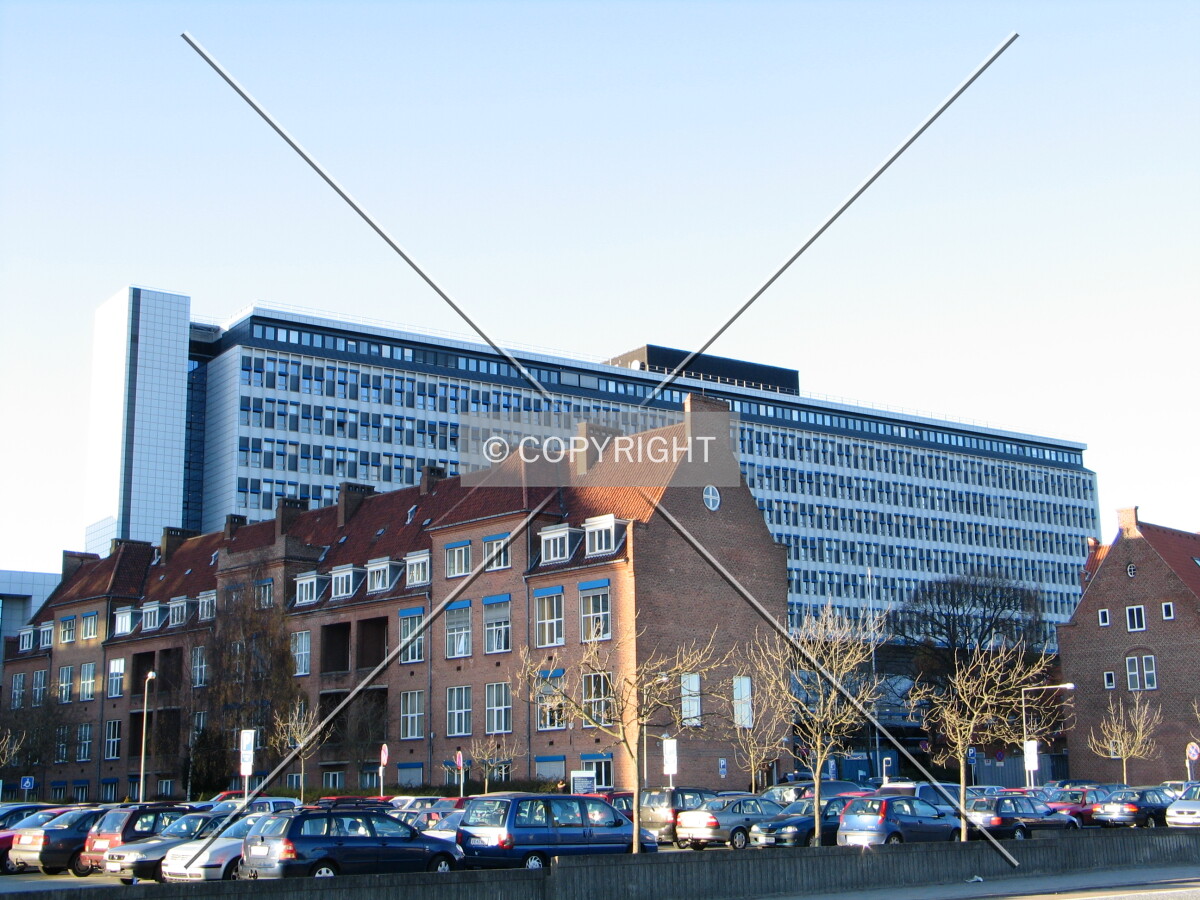 View from the southwest