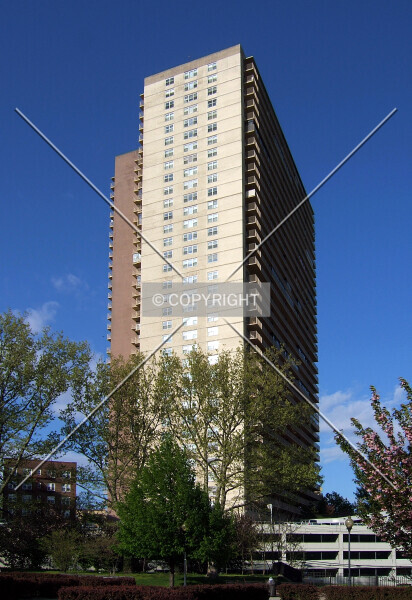 Photo 762-204-977