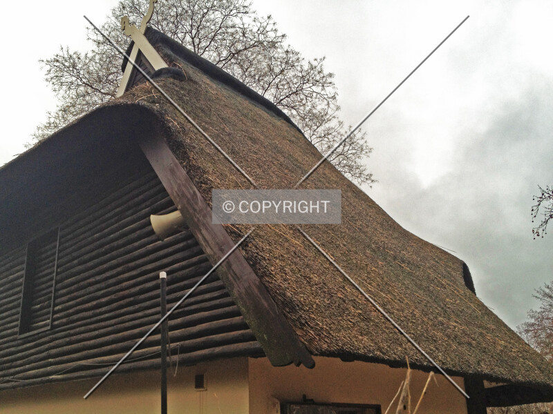 Photo 762-468-903
