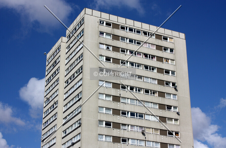 Photo 763-169-218