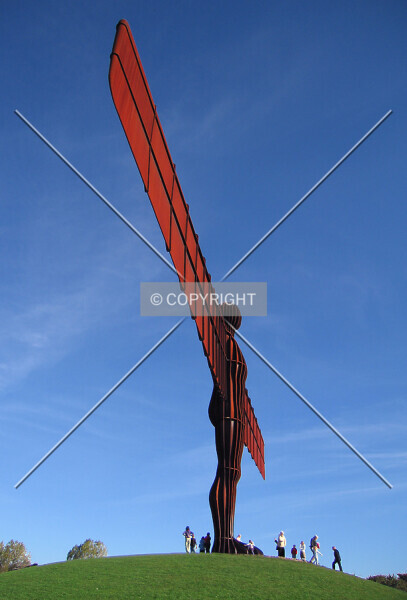 Photo 766-207-593