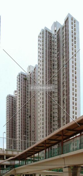 Photo 767-516-404