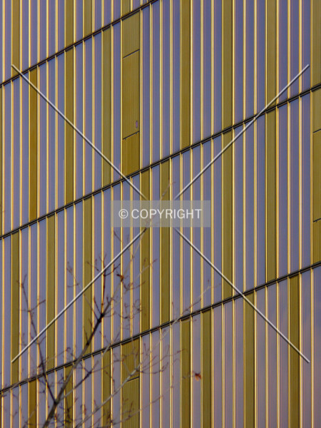 Photo 768-614-523
