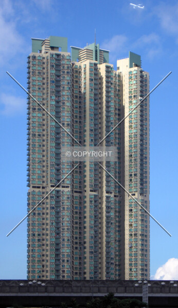 Photo 769-784-027