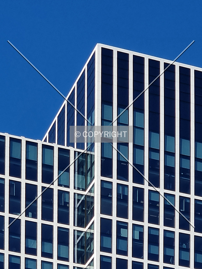 Photo 769-804-039