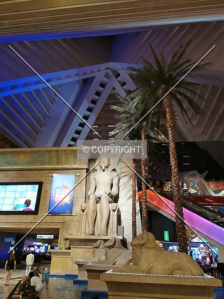 Photo 770-940-315