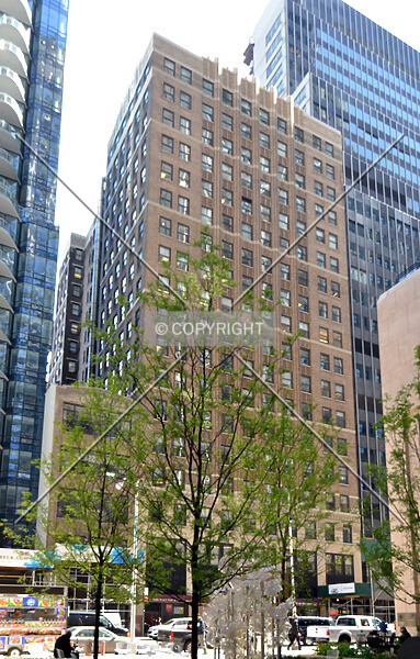 Photo 771-002-813