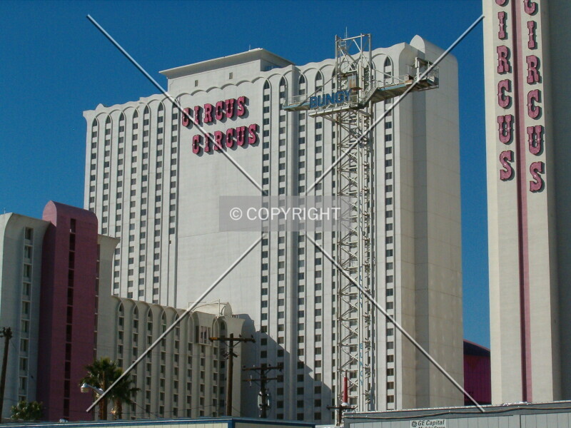 Photo 771-419-862