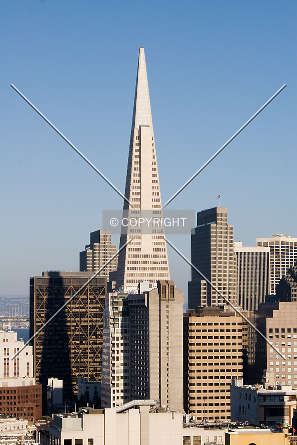 Looking east