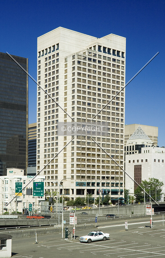 View from the south