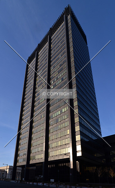 Photo 776-142-195
