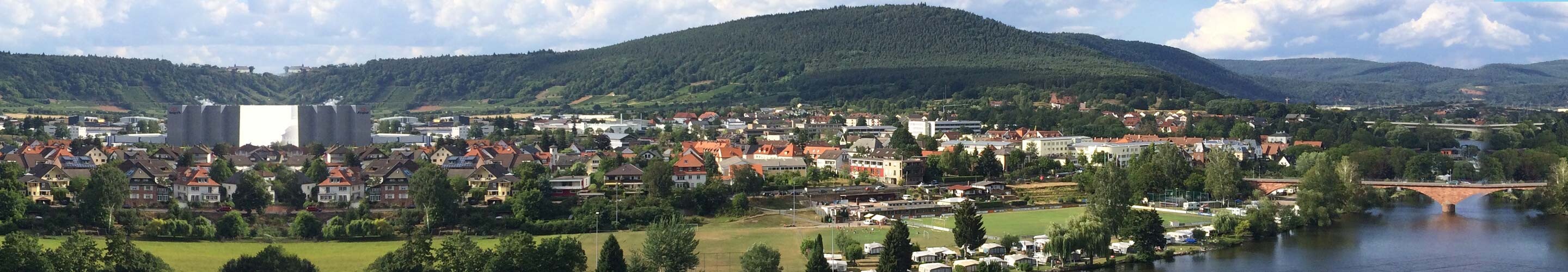 Panorama of Miltenberg