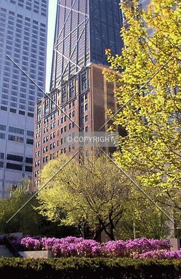 South façade from the MOCA sculpture garden