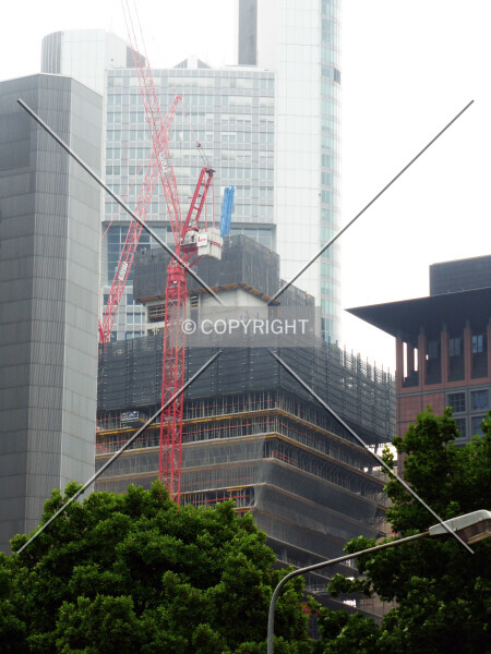 Photo 779-707-837
