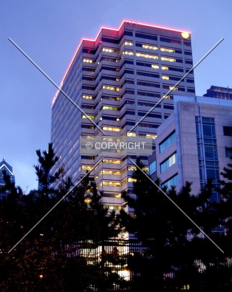 Photo 780-181-264