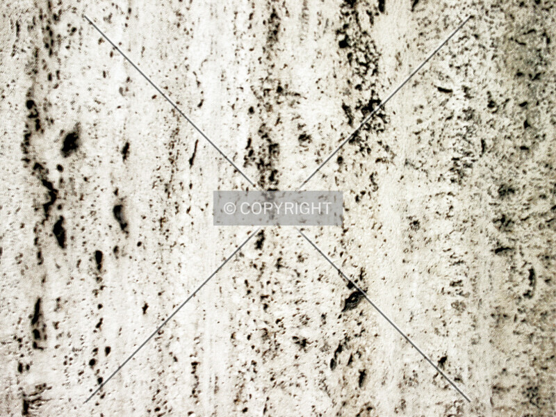 Photo 780-565-455