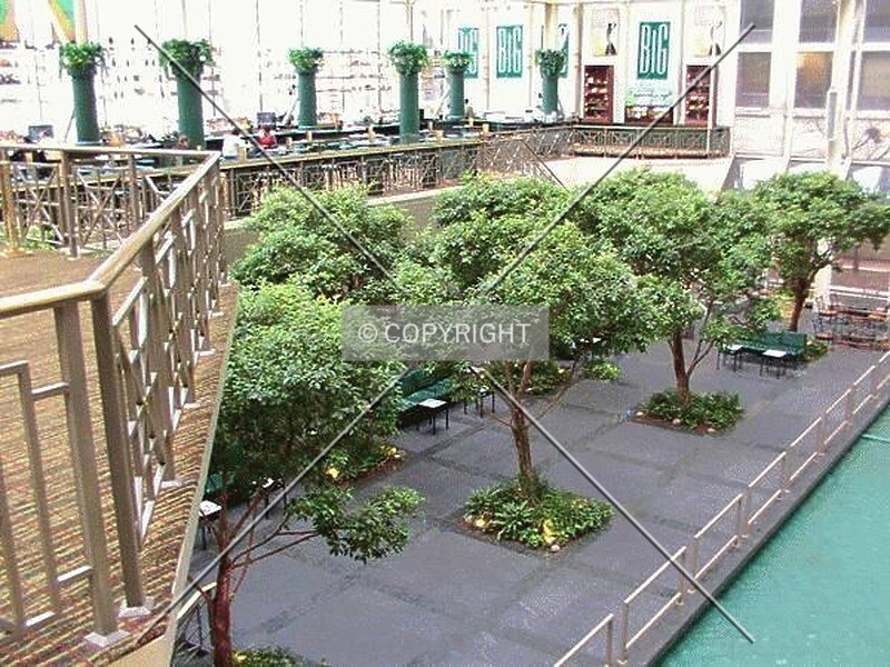 Photo 780-888-874