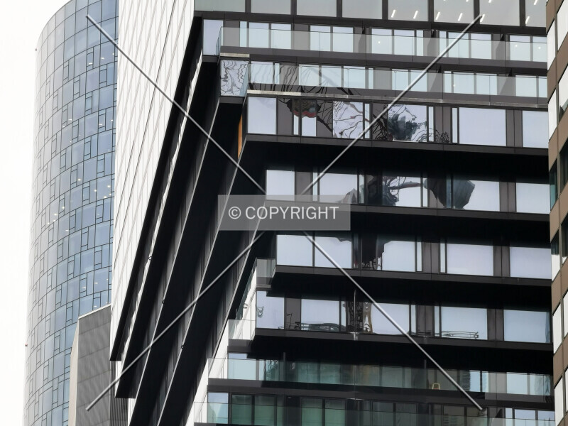 Photo 781-104-831