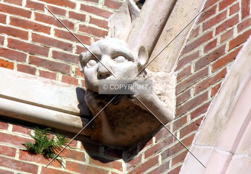Photo 781-381-770