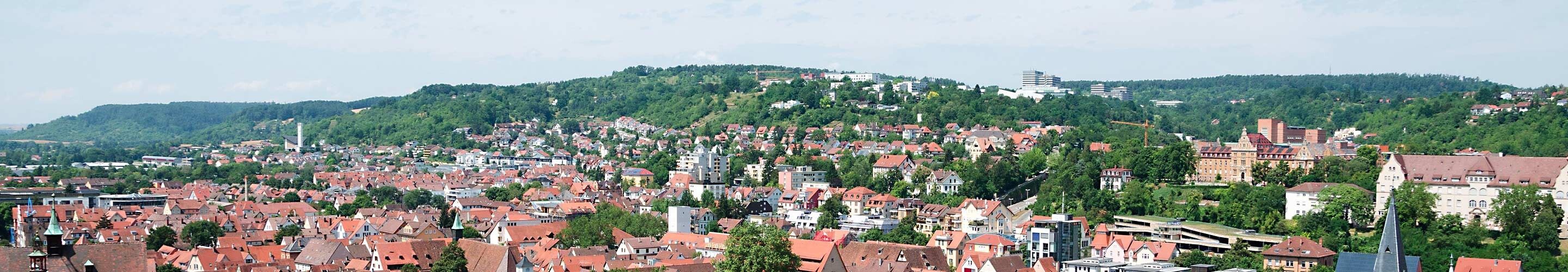 Panorama of Tübingen