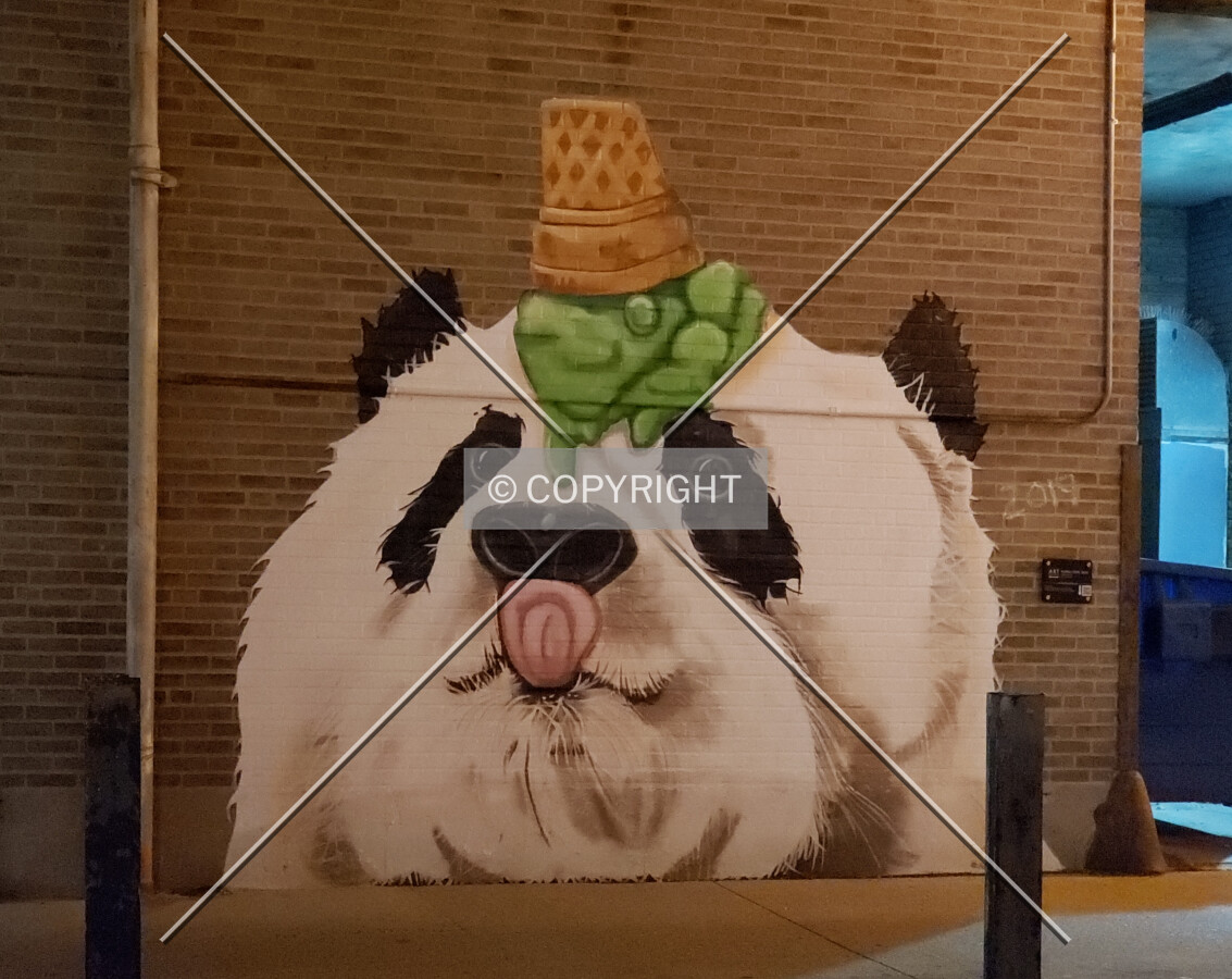 Night view of a panda mural on the rear facade; August 10, 2019