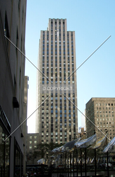 Photo 782-117-654