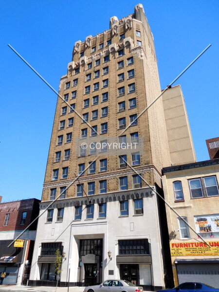 Photo 782-204-259