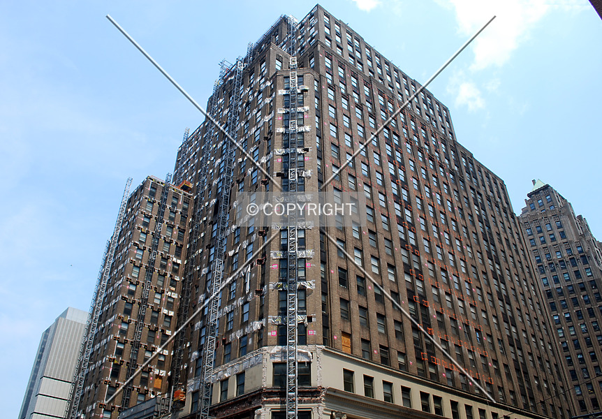 Photo 782-204-565