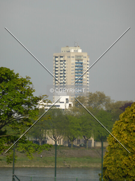 Photo 782-279-222