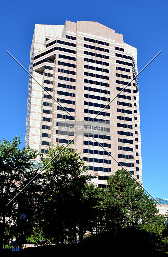 View from the east