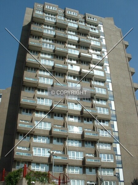 Photo 783-310-642